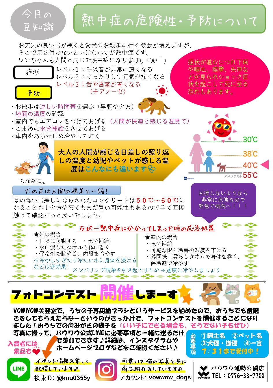 運動公園店 ばうわう通信７月号