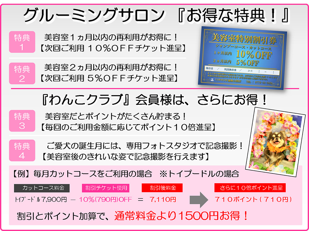 コース&料金